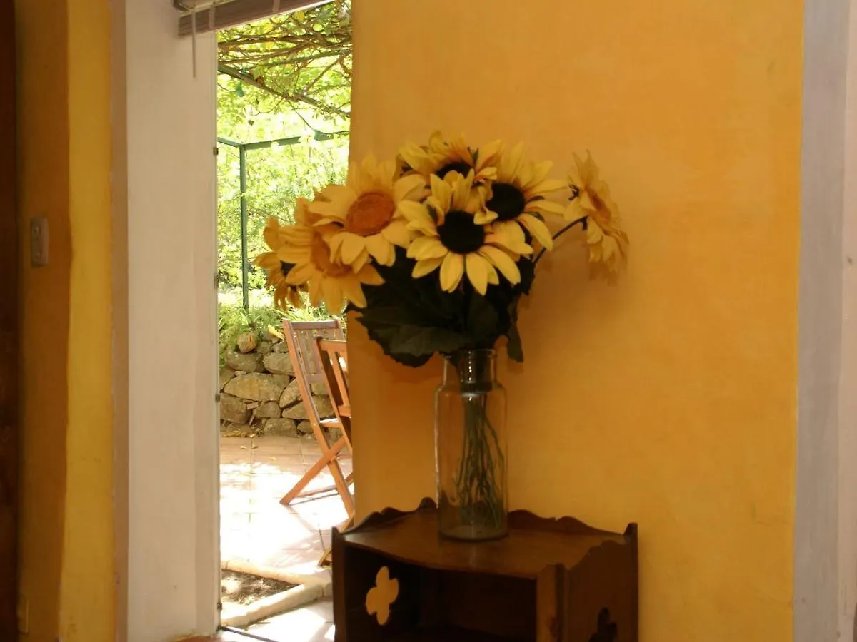 Holiday Home In Six Fours Les Plages With Terrace Six-Fours-les-Plages France